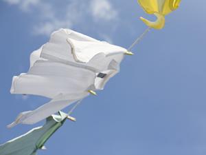 調味料開発の最前線:2026年最新トレンドと成功の秘訣